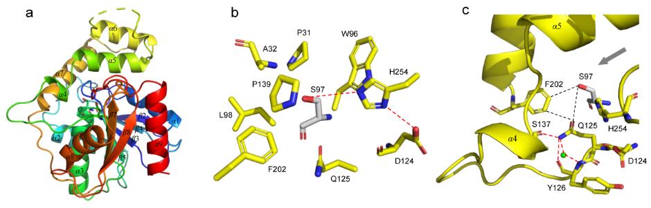 43690cf5c04d4c7eb2a7b1714c2b4ec4.jpg 43690cf5c04d4c7eb2a7b1714c2b4ec4.jpg