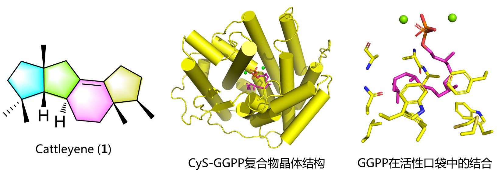 b1797475884c45778d3a227e37dd6262.jpg b1797475884c45778d3a227e37dd6262.jpg