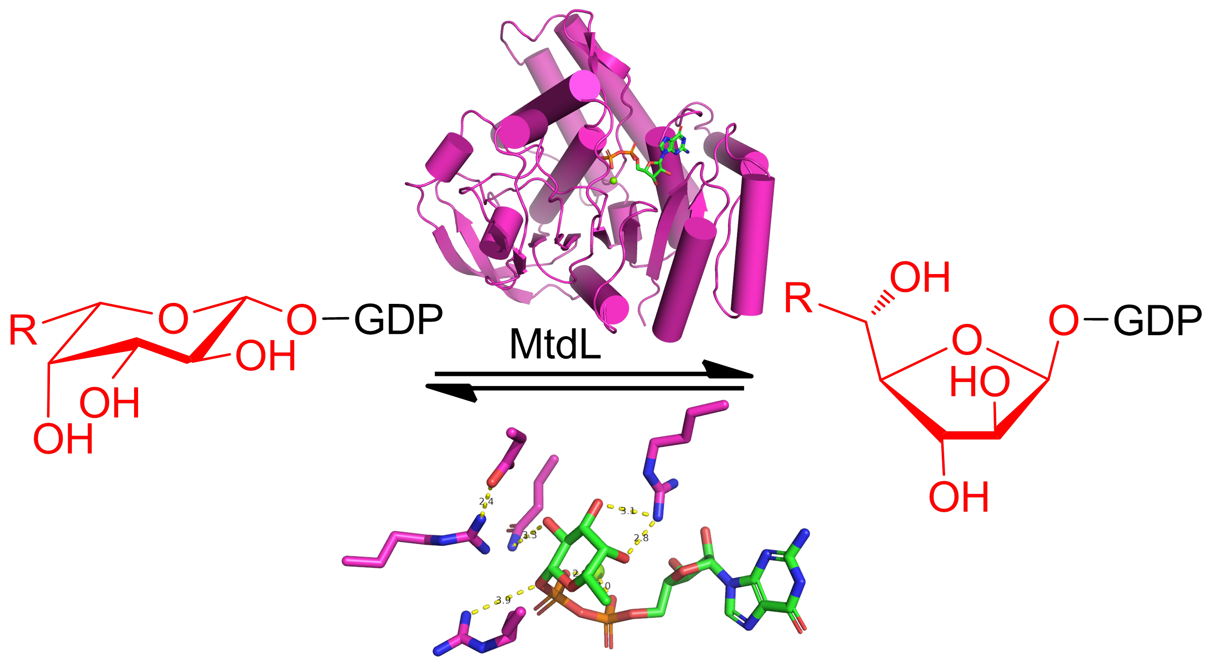 2a940732da4843a395117a3c626fb964.png 2a940732da4843a395117a3c626fb964.png