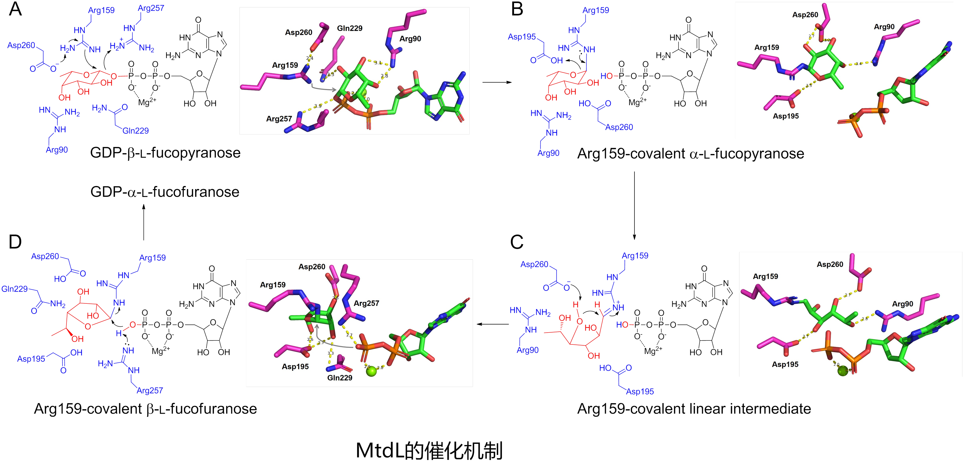 5d32504473cd47f19d1cade62c73337f.png 5d32504473cd47f19d1cade62c73337f.png