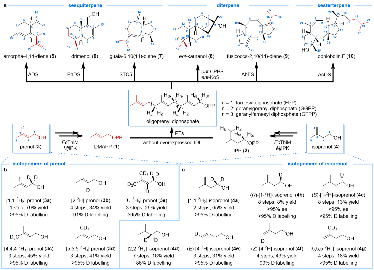0bb482375ff1431fbca7f3f859f334d3.png 0bb482375ff1431fbca7f3f859f334d3.png