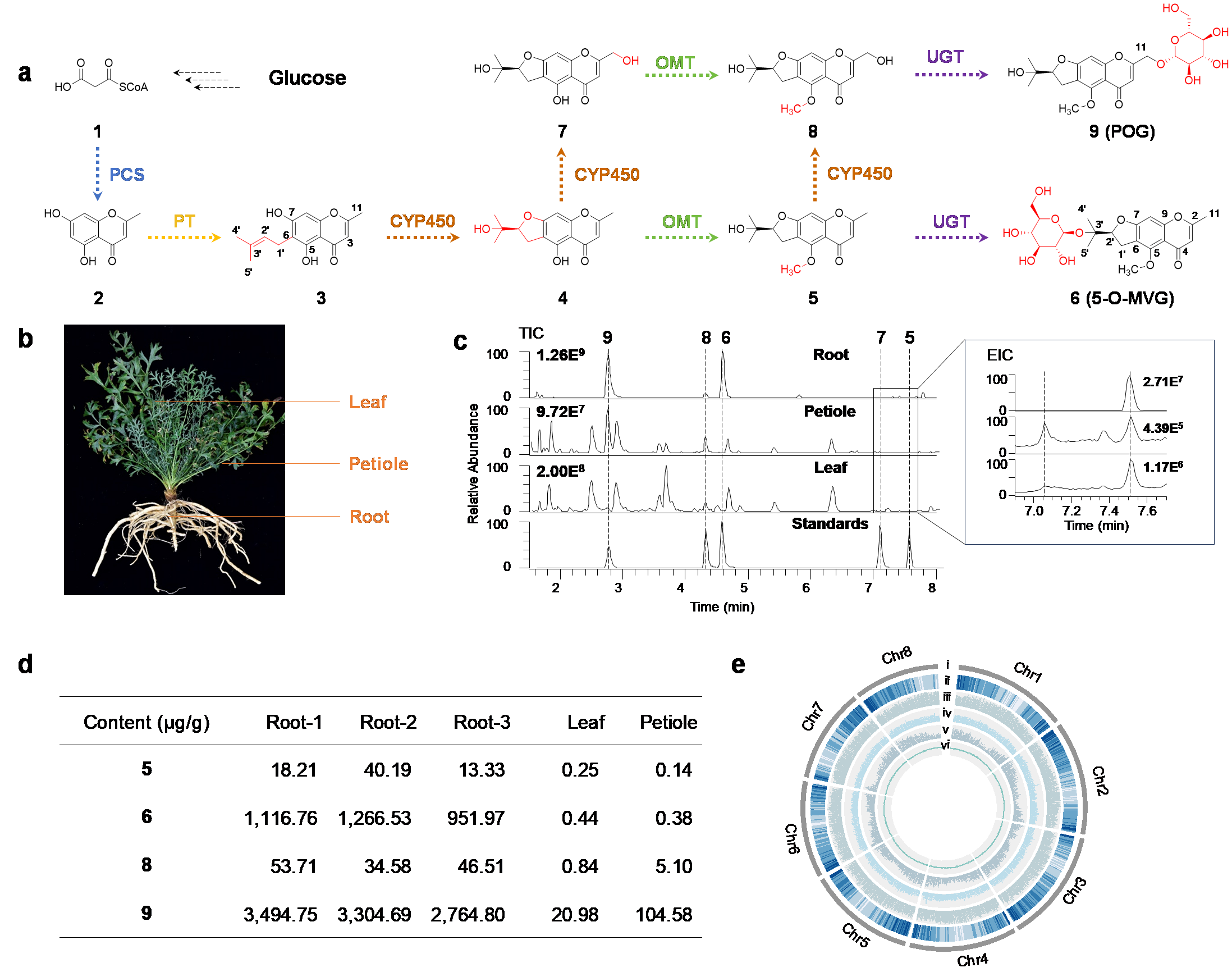 c2b4a5211e414b84b0db9ca916a5ac1b.png c2b4a5211e414b84b0db9ca916a5ac1b.png