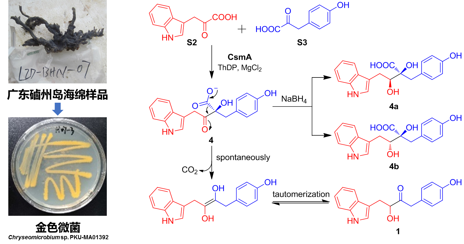 4f52f1fe214c41f4bb8b6b3f4783e58f.png 4f52f1fe214c41f4bb8b6b3f4783e58f.png