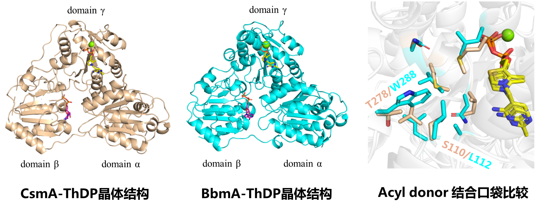 5df08c78521d43ed9f1fb7bb203da0ad.png 5df08c78521d43ed9f1fb7bb203da0ad.png