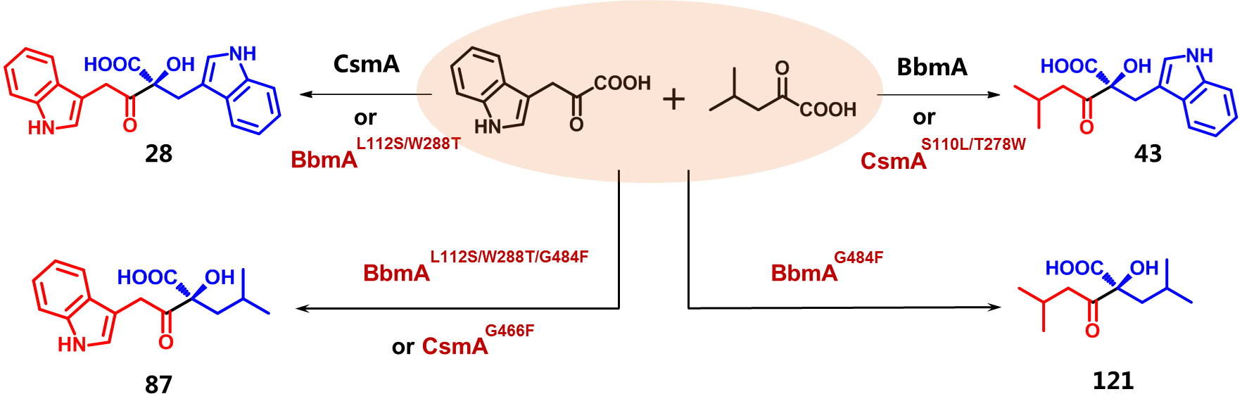 5fd5da95ac6b482e8641ceb9f2061fc1.png 5fd5da95ac6b482e8641ceb9f2061fc1.png