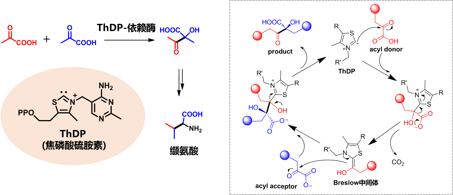 62a26a1487b949b6ae1cc5266b7fdf85.png 62a26a1487b949b6ae1cc5266b7fdf85.png