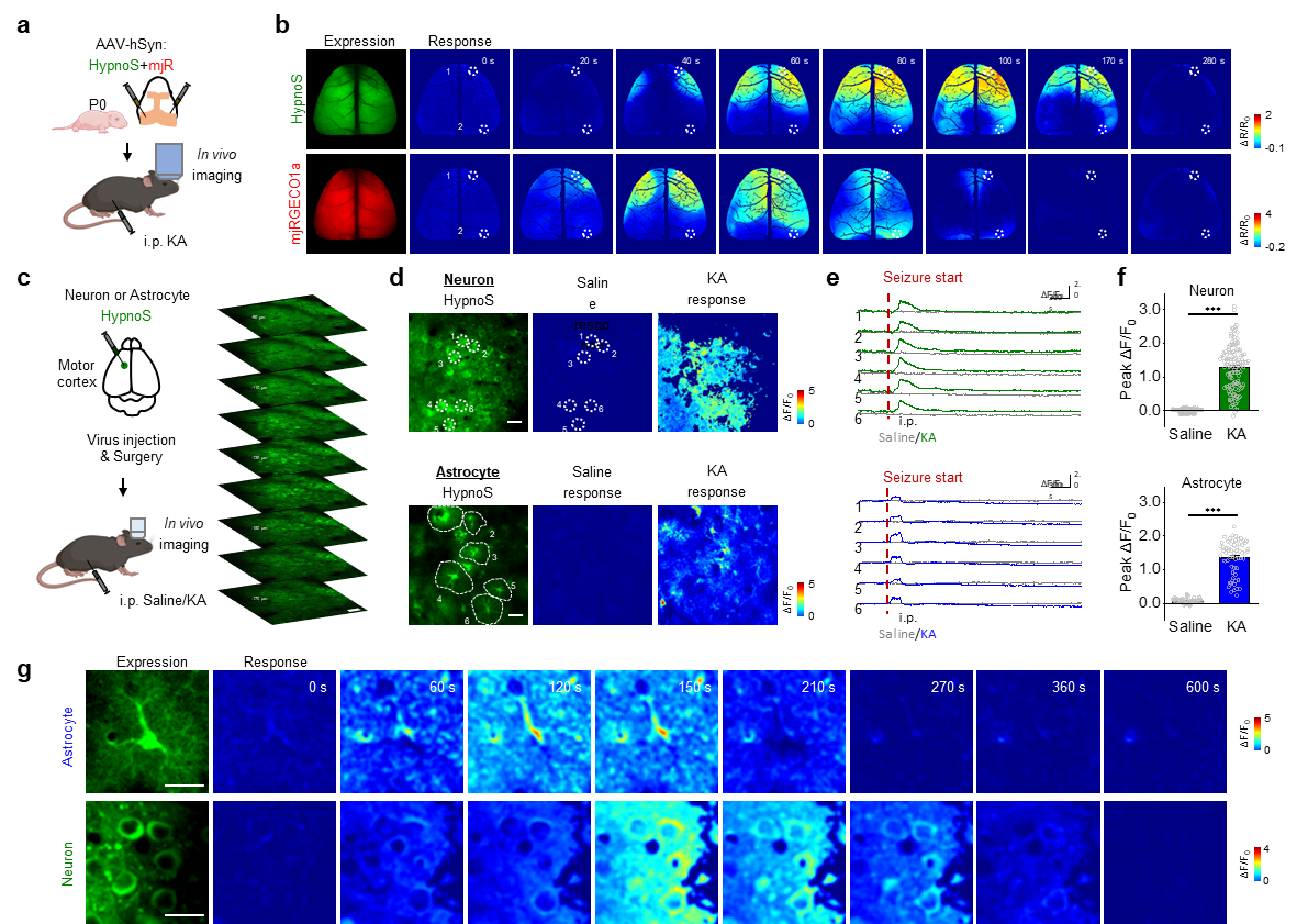 b4b94e2ff3e348bba71905fdf155b424.png b4b94e2ff3e348bba71905fdf155b424.png