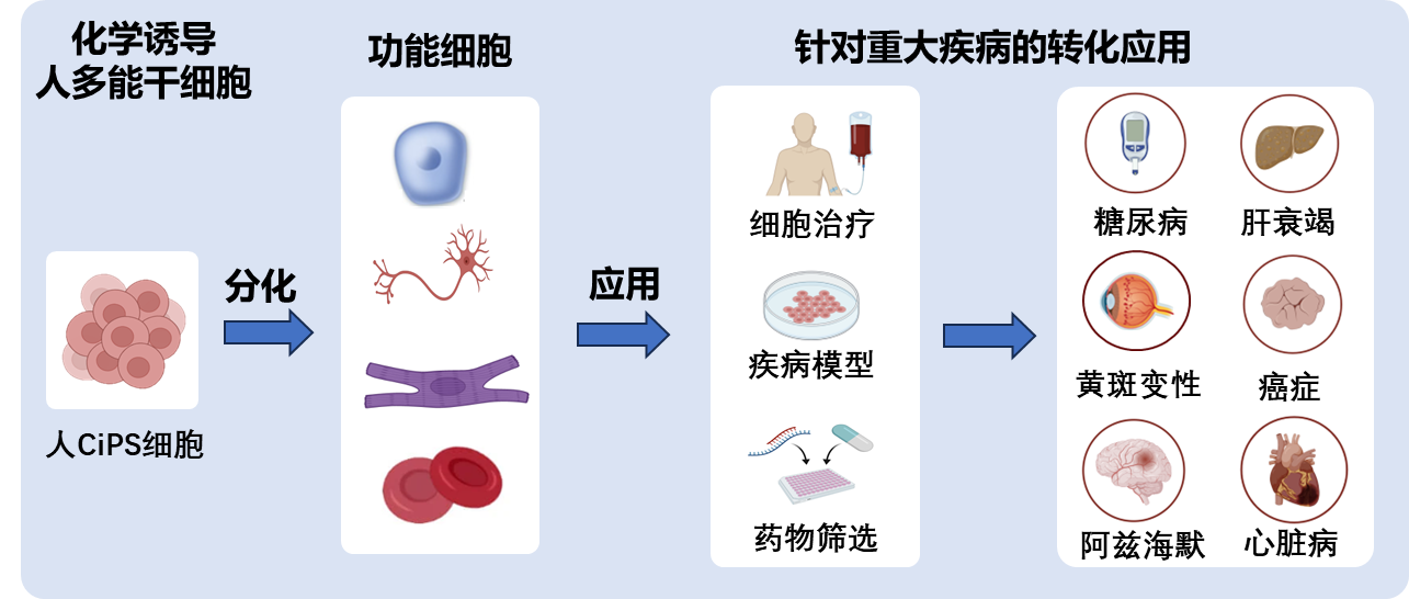 c94ea98ab59443a48662eec895dff5be.png c94ea98ab59443a48662eec895dff5be.png