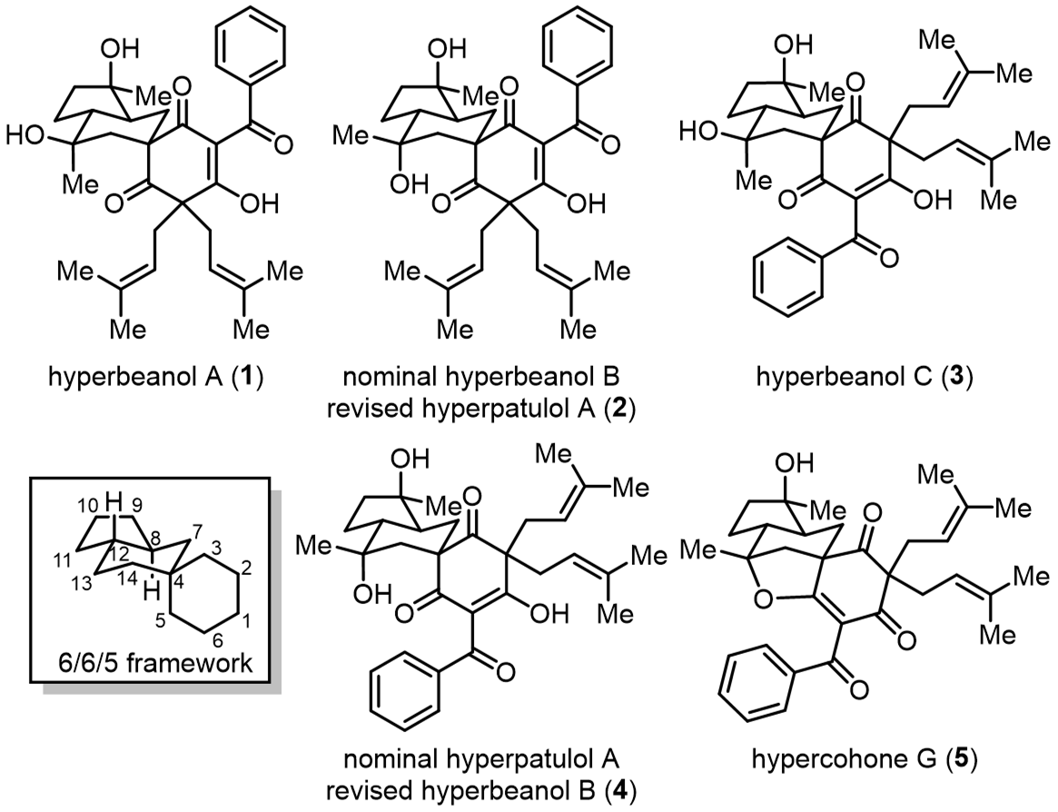 194a2a84342e416ca857ce65fbe324b5.png 194a2a84342e416ca857ce65fbe324b5.png