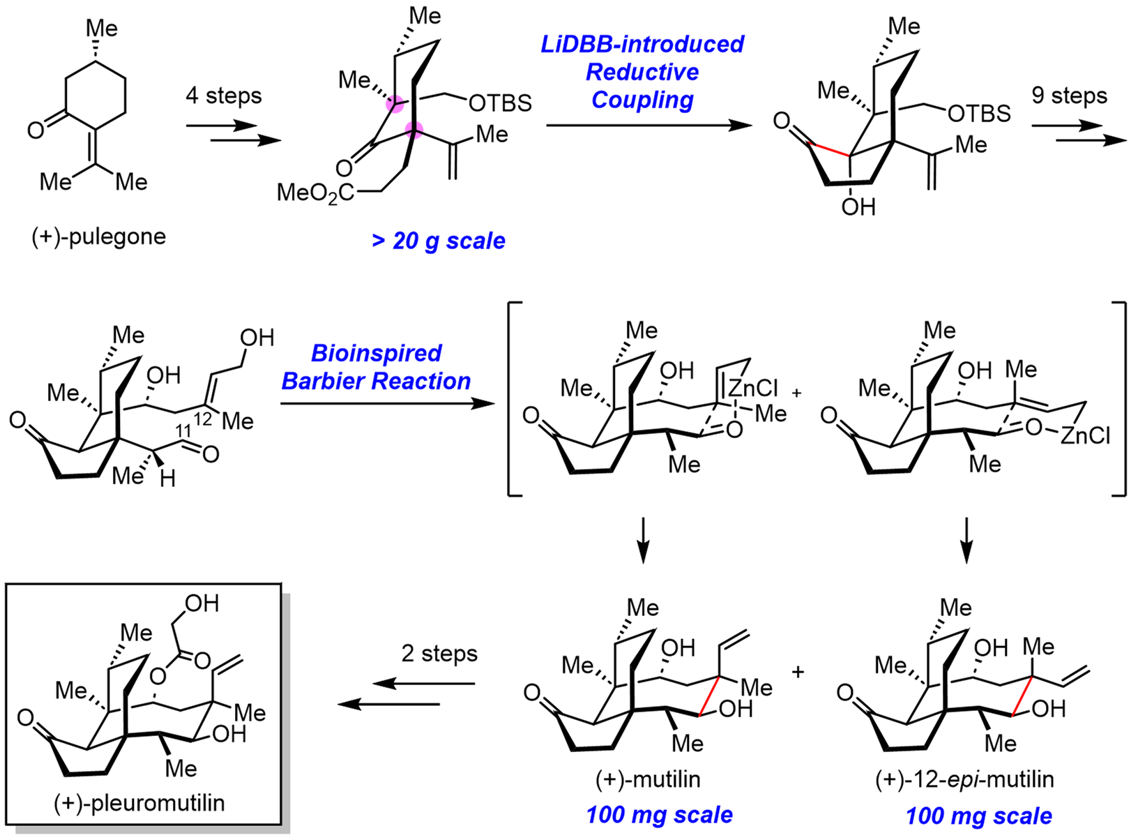 bc6ae52818024792934f4e3fd97456c8.png